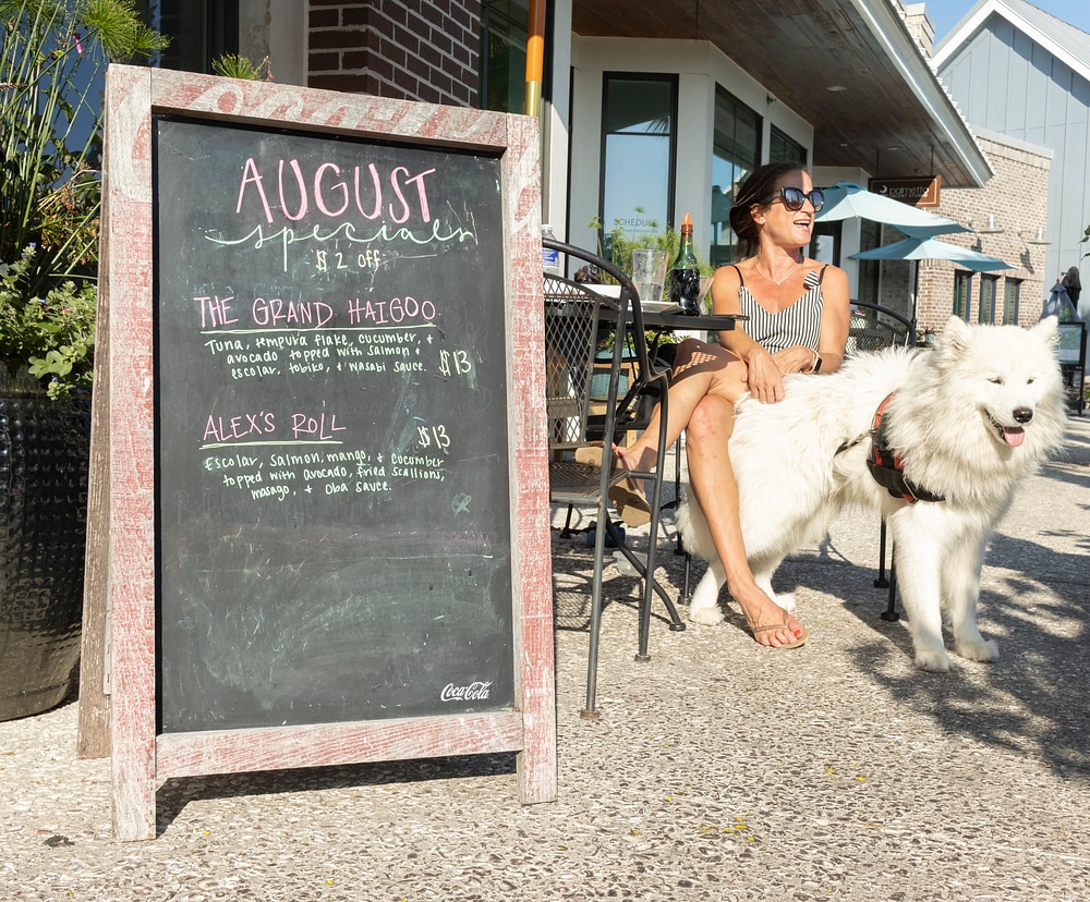 Sushi, Hibachi & Cocktails in a Relaxed, Modern Atmosphere